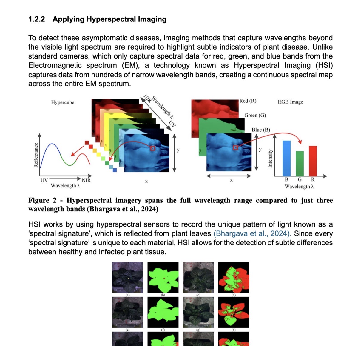 Page from the Extended Research Project comparing hyperspectral and RGB imaging